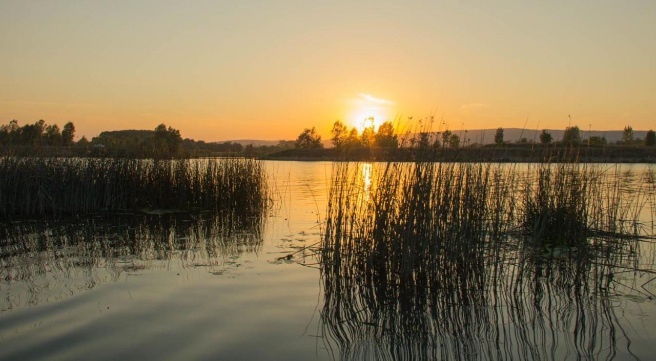Camping Aux Rives Du Soleil Pont-de-Vaux Buitenkant foto